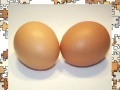 Gra puzzle eggs