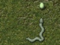 Gra Snake's Adventure