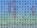 Gra Word Search