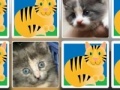 Gra Match a Pretty Kitty
