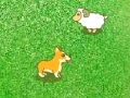 Gra Dog and sheep