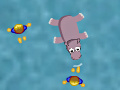 Gra Furious Hippo