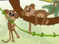 Gra Save the Monkey