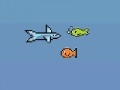 Gra Fisher Shark