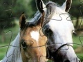 Gra Puzzle Horses