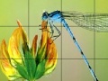 Gra Flower and fly slide puzzle
