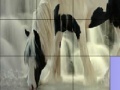 Gra Waterfall and horse slide puzzle