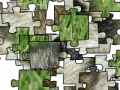 Gra Jigsaw: Raccoon