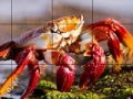 Gra Red crab slide puzzle