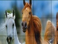Gra Wild horses slide puzzle