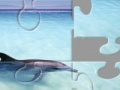 Gra Dolphin
