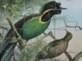 Gra Birds of Paradise Jigsaw