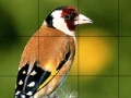 Gra Red headed bird slide puzzle
