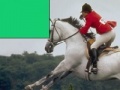 Gra Horse Jumping Jigsaw
