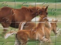 Gra Horse Family Jigsaw Puzzle