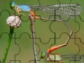 Gra Wild Flies Puzzle