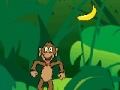 Gra Happy Monkey