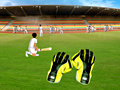 Gra Wicket Keeping Volt