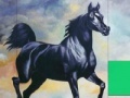 Gra Black Horse Jigsaw