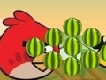 Gra Angry Birds - cut the rope