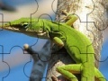 Gra Chameleon On The Tree: Puzzle