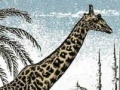 Gra Giraffe Jigsaw Puzzle