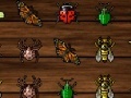 Gra Insect Crush