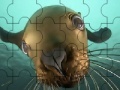 Gra Cute seal puzzle