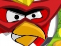 Gra Angry Bird protect home