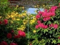 Gra Beauty Gardens Puzzles 5