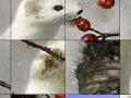 Gra White animal and rosehip slide puzzle