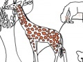 Gra Zoo life coloring