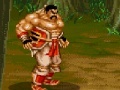 Gra Dynasty Fighter 4