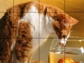 Gra Small fish and cat slide puzzle