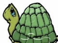 Gra Turtle Jigsaw Puzzle