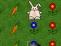 Gra Bunny Run