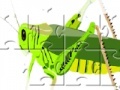 Gra Cavalletta Jigsaw