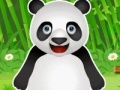 Gra Panda Pet Care