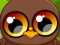 Gra Cute owl