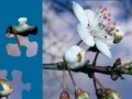 Gra White Flower Jigsaw