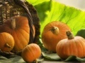 Gra Solar Pumpkins Jigsaw Puzzle
