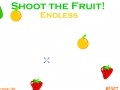 Gra Xtreme Fruit Shoot 2!