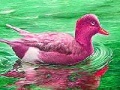 Gra Red River Duck: Slide Puzzle