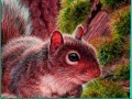 Gra Nuts And Squirrels: Puzzle