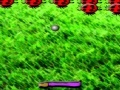 Gra Evil Lady Bug Pong