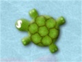 Gra Dizzy Turtle