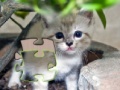 Gra Jigsaw: Happy Kitty