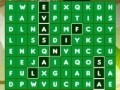 Gra Soccer Word Search