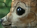 Gra Baby deer Puzzle