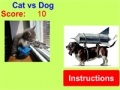 Gra Cat vs Dog!